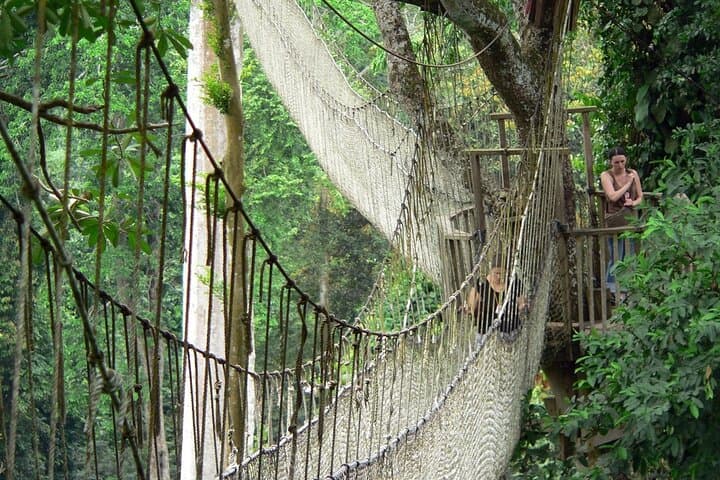 Cape Coast & Kakum Private Day Tour: Castle History and Canopy Walkway photo 6