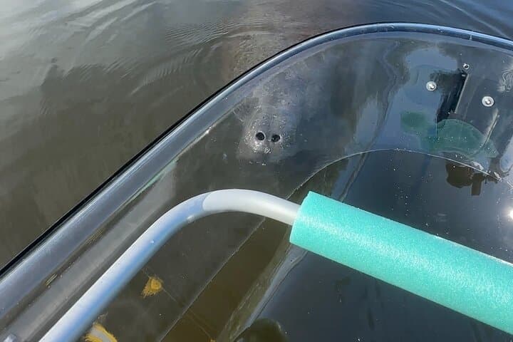 Clear Kayak Eco Tour at Robinson Preserve — Bradenton Clear Kayak Adventure photo 2