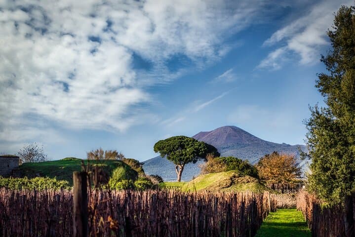 Pompeii to Vesuvius: Private Wine, Ruins & Summit Day Trip from Naples