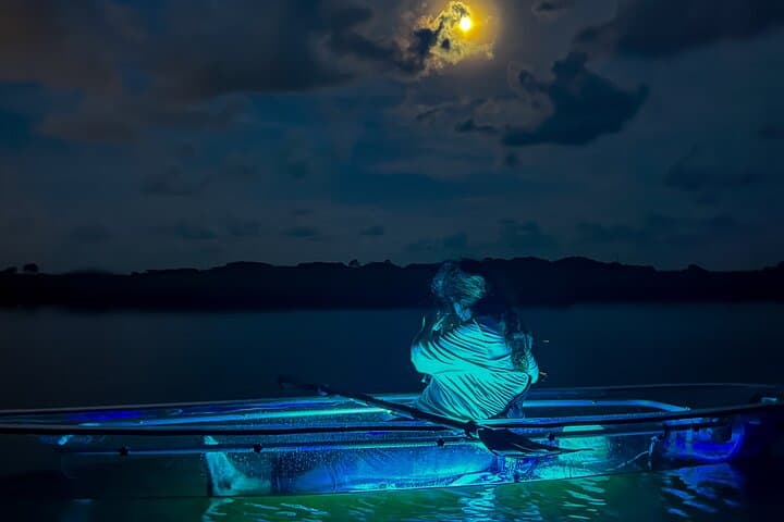 Clear Kayak Glow Tour in Destin: Night Paddle Through Santa Rosa Sound photo 2