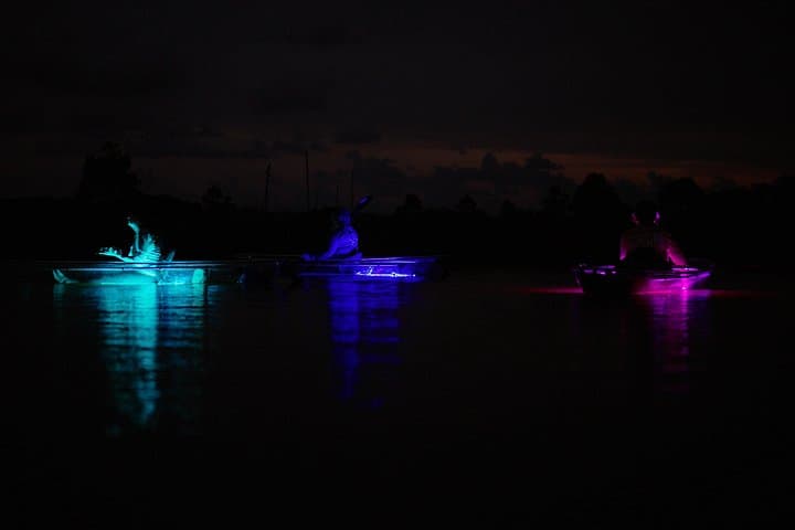 Clear Kayak Glow Tour in Destin: Night Paddle Through Santa Rosa Sound photo 3