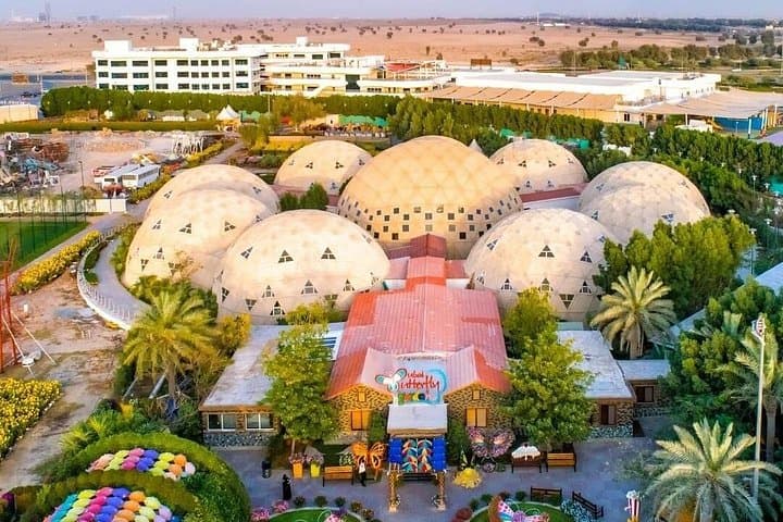 Dubai Butterfly Garden: Explore the Living Butterfly Conservatory Near Miracle Garden photo 1