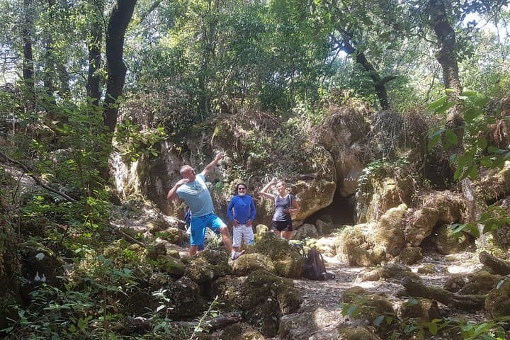 Korčula Enchanted Forest Hike and Vineyard Wine Tasting photo 6