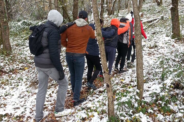 Forest Meditation Walk Near Paris — Walking Meditation Workshop photo 2