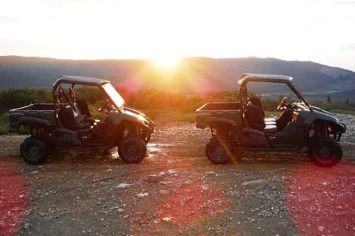 Midnight Sun ATV Adventure in Denali — 2.5-Hour Healy Night Ride