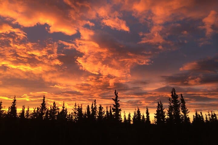 Midnight Sun ATV Adventure in Denali — 2.5-Hour Healy Night Ride photo 3