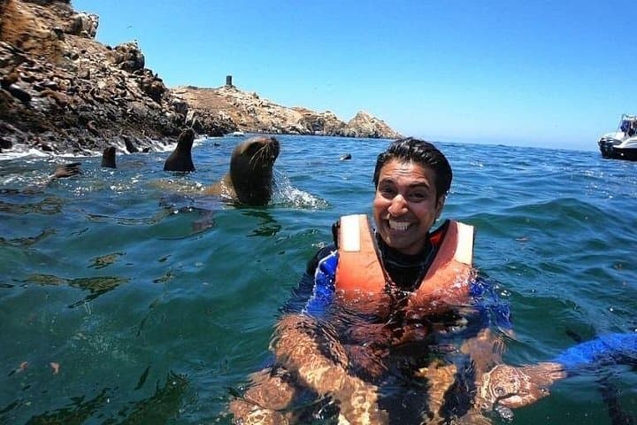 Swim with Wild Sea Lions at Islas Palomino — Lima Boat Tour photo 1