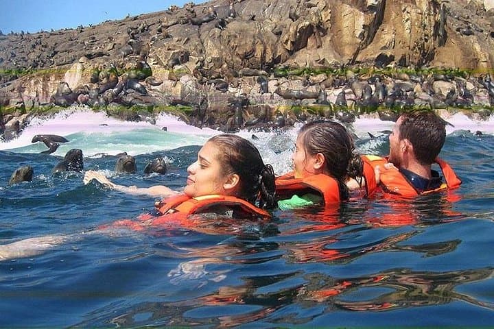 Swim with Wild Sea Lions at Islas Palomino — Lima Boat Tour photo 4