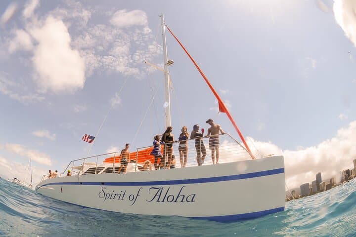 Explore Hawaii’s Kohala Coast on a Waikoloa Turtle Catamaran Snorkel Sail photo 5