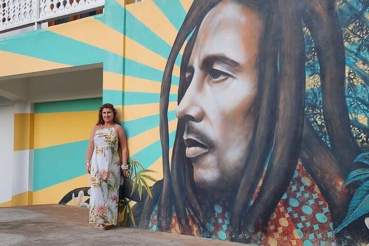 Dunn's River Falls & Bob Marley Mausoleum Private Tour from Montego Bay