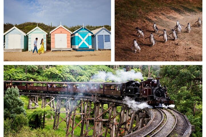 Melbourne Day Tour: Brighton Bathing Boxes, Puffing Billy Steam Train & Penguin Parade