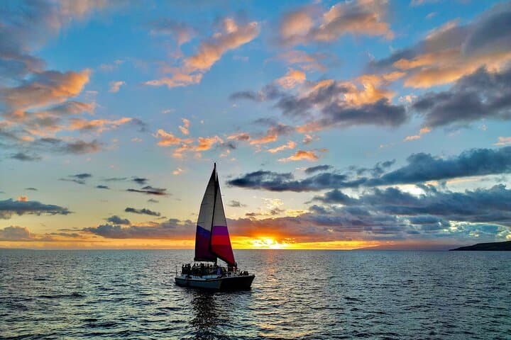 Sunset Sail on Winona: Ma'alaea Harbor Catamaran Tiki Bar & Whale Watch photo 1