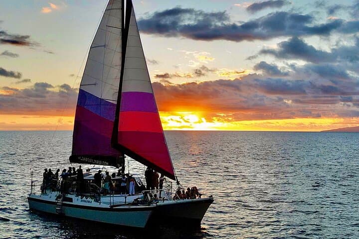 Sunset Sail on Winona: Ma'alaea Harbor Catamaran Tiki Bar & Whale Watch photo 2