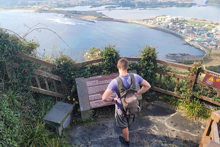 West Jeju Coastal Circuit: Sinchang Windmills to Songaksan Crater photo 6