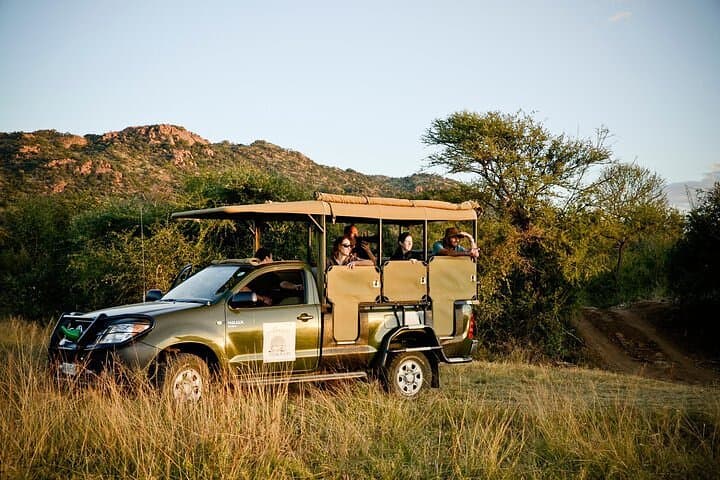 3-Hour Private Game Drive in Pilanesberg National Park — Big Five Safari from Sun City photo 5
