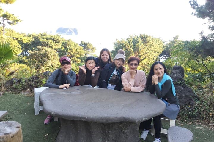 Jeju South Coast Private Jumbo Taxi Tour: Waterfalls, Volcanic Cones & Local Eats