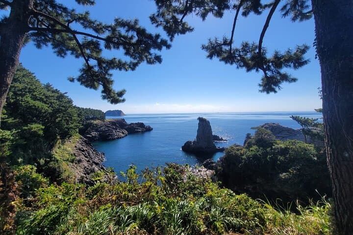 Jeju South Coast Private Jumbo Taxi Tour: Waterfalls, Volcanic Cones & Local Eats photo 2