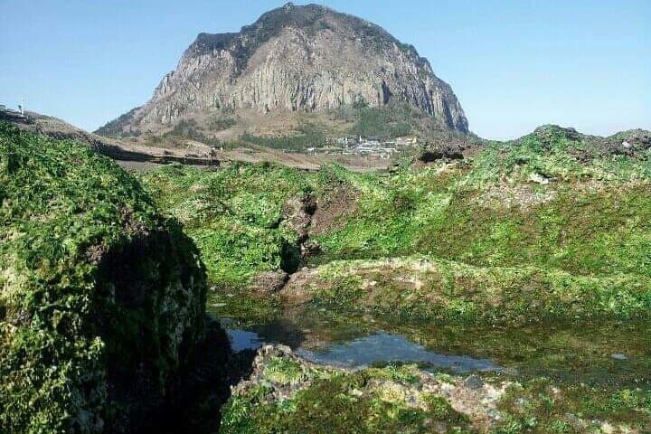 Jeju South Coast Private Jumbo Taxi Tour: Waterfalls, Volcanic Cones & Local Eats photo 5
