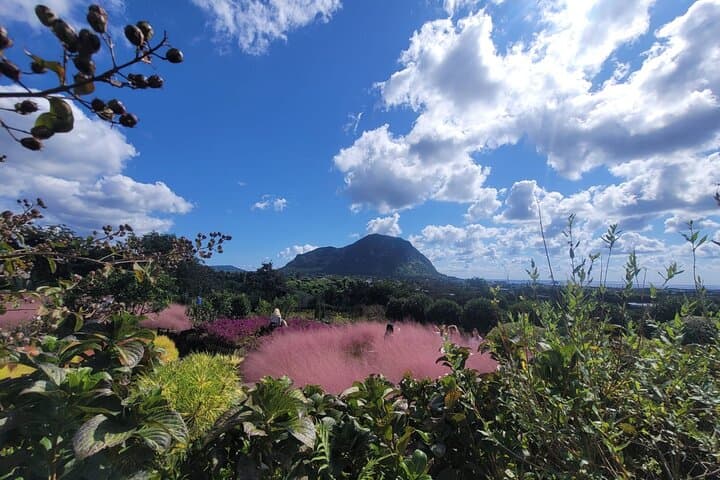 Jeju South Coast Private Jumbo Taxi Tour: Waterfalls, Volcanic Cones & Local Eats photo 6