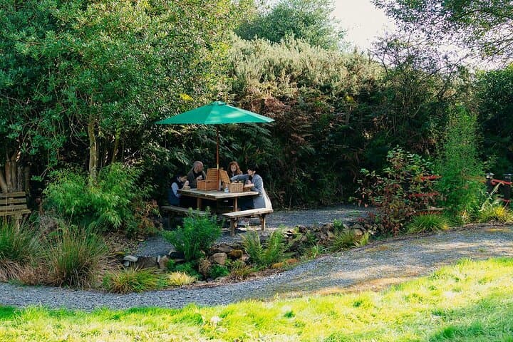 Guided Alpaca Trekking in Northern Ireland: Scenic 1.4km Trail with Island Coffee Stop photo 3