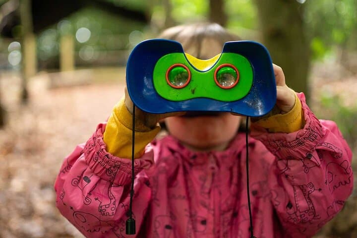 Kids Forest School Ballynahinch: 2-Hour Wild Play in County Down Beechwood photo 6