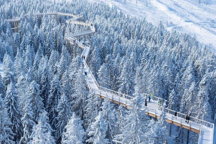 Bachledka Treetop Walk & Strbske Pleso Day Tour from Zakopane photo 3