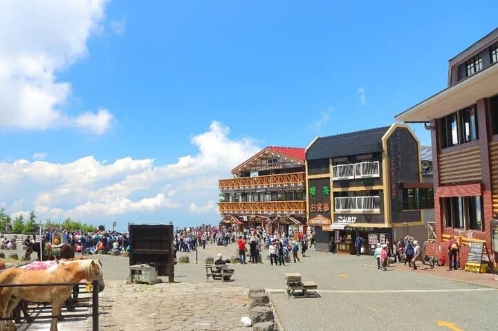 Mt Fuji 5th Station, Hakone & Gotemba Outlets: One-Day Tour from Tokyo photo 3