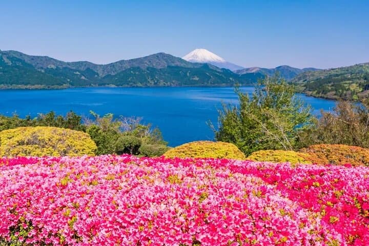 Mt Fuji 5th Station, Hakone & Gotemba Outlets: One-Day Tour from Tokyo photo 6