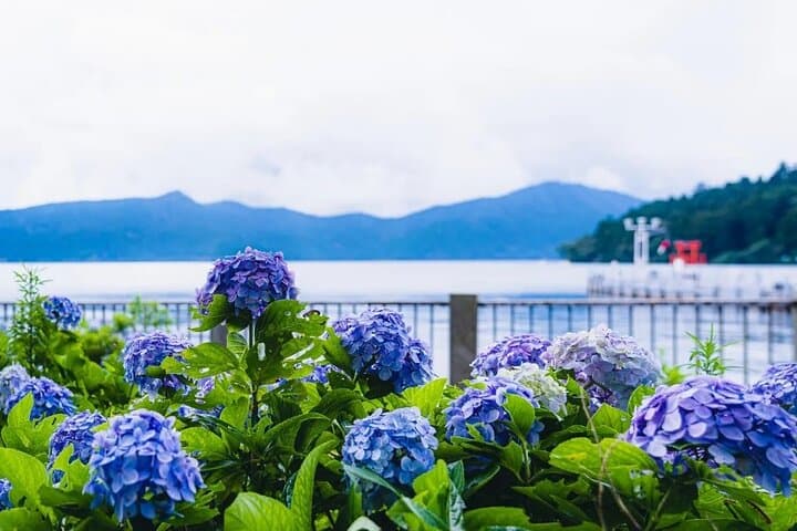 Mt Fuji 5th Station, Hakone & Gotemba Outlets: One-Day Tour from Tokyo photo 4