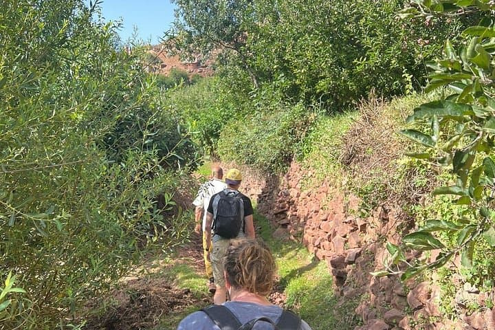 Imlil Valley Day Trip from Marrakech — Atlas Mountains, Berber Villages & Camel Ride photo 1