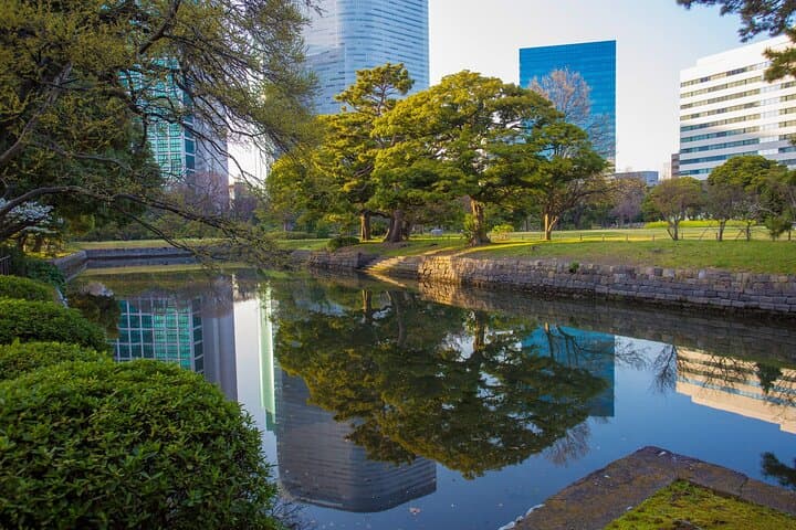 Private Custom Tour in Tokyo: Full-Day Personalized City Experience photo 5