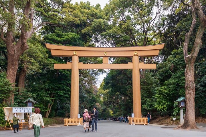 Private Custom Tour in Tokyo: Full-Day Personalized City Experience photo 6