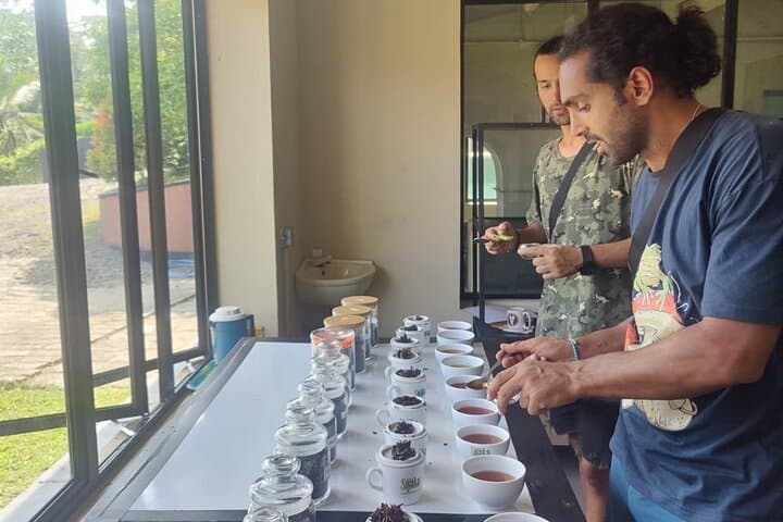 Semidale Tea Factory Tour & Tasting — Deniyaya Ceylon Tea Experience photo 5