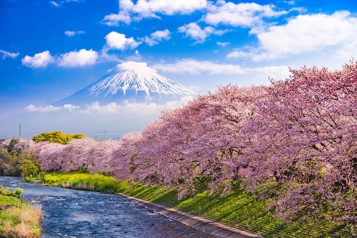 Mt Fuji, Hakone & Lake Ashi — Full-Day Private Tour from Tokyo
