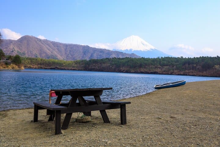 Mt Fuji, Hakone & Lake Ashi — Full-Day Private Tour from Tokyo photo 5