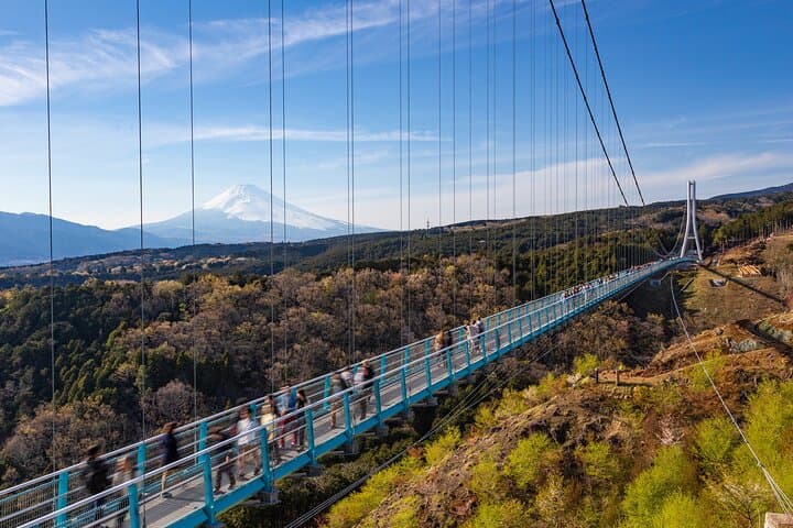 Full-Day Private Hakone Tour — Lake Ashi, Ōwakudani & Mishima Skywalk photo 3