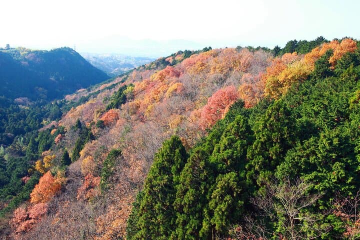 Full-Day Private Hakone Tour — Lake Ashi, Ōwakudani & Mishima Skywalk photo 6