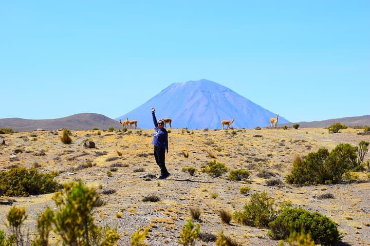 Arequipa Day Trip: Pillones Waterfall & Puruña Stone Forest Adventure photo 6