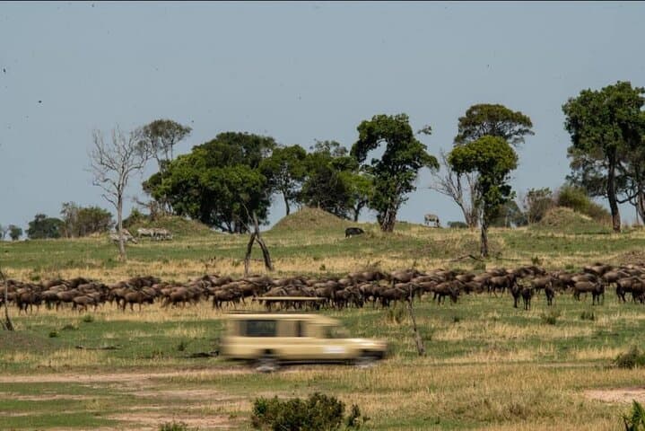 West Serengeti Two-Day Safari from Mwanza — Wildebeest, Kopjes & River Crossings