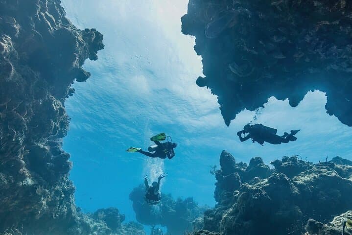 Cozumel Two-Tank Reef Dive: Palancar Walls & Marine Life by Boat