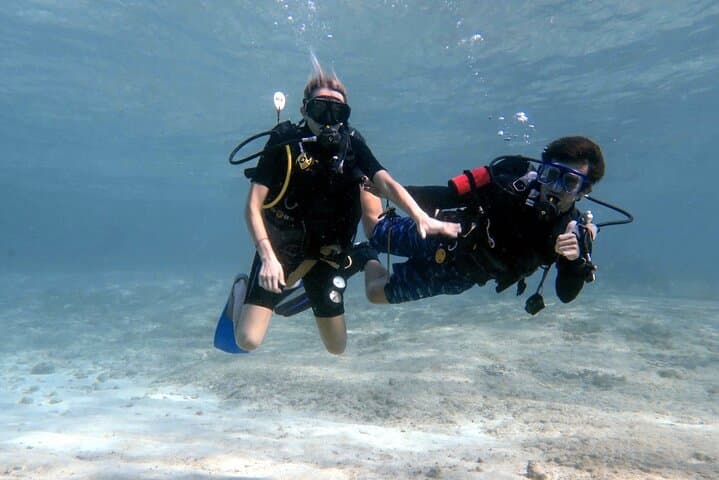 Cozumel Two-Tank Reef Dive: Palancar Walls & Marine Life by Boat photo 5
