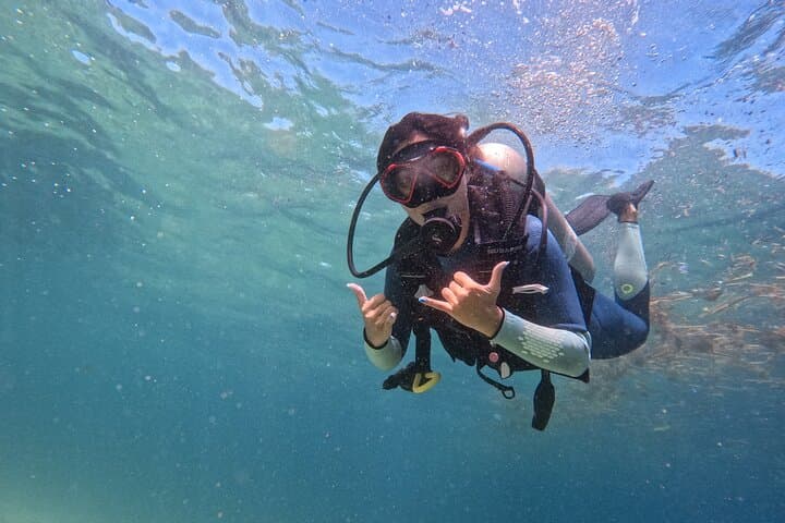 Los Cabos Land's End 1-Tank Dive — Scuba the Sea of Cortez