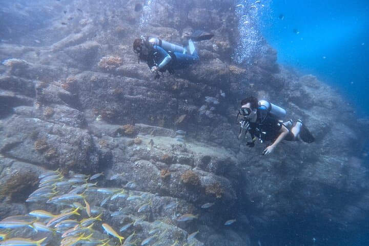 Los Cabos Land's End 1-Tank Dive — Scuba the Sea of Cortez photo 5