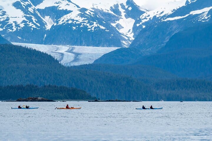 Paddle with Whales: An Immersive Kayak Adventure in Juneau's Inside Passage