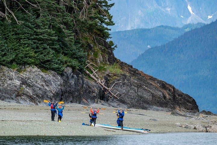 Paddle with Whales: An Immersive Kayak Adventure in Juneau's Inside Passage photo 3