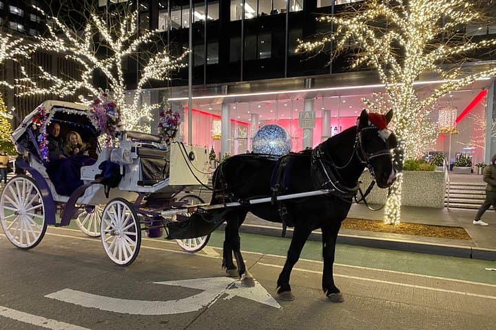 Rockefeller Center Christmas Lights Horse Carriage Ride: Central Park to Fifth Avenue by Carriage photo 1