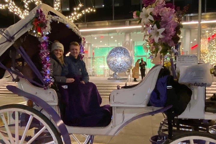 Rockefeller Center Christmas Lights Horse Carriage Ride: Central Park to Fifth Avenue by Carriage photo 2