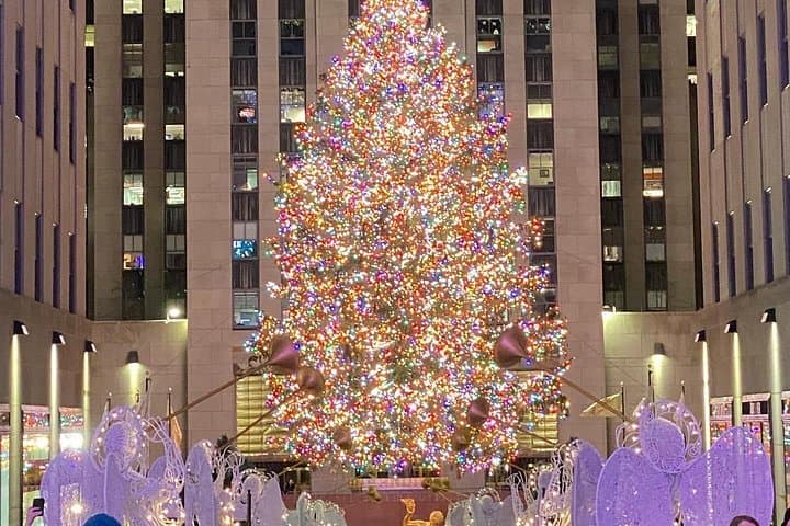 Rockefeller Center Christmas Lights Horse Carriage Ride: Central Park to Fifth Avenue by Carriage photo 3