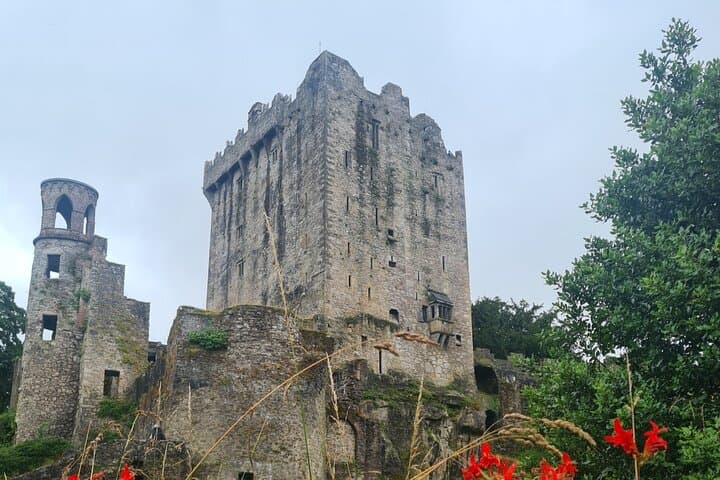 Private Cobh, Blarney Castle & Jameson Distillery Day Tour from Cork photo 5