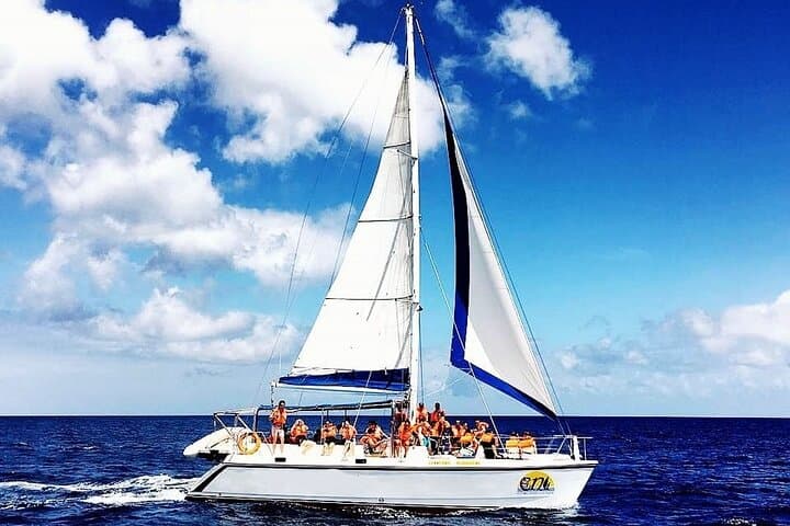 5-Day Mauritius Adventure: Catamarans, Dolphin Watching & Chamarel photo 6